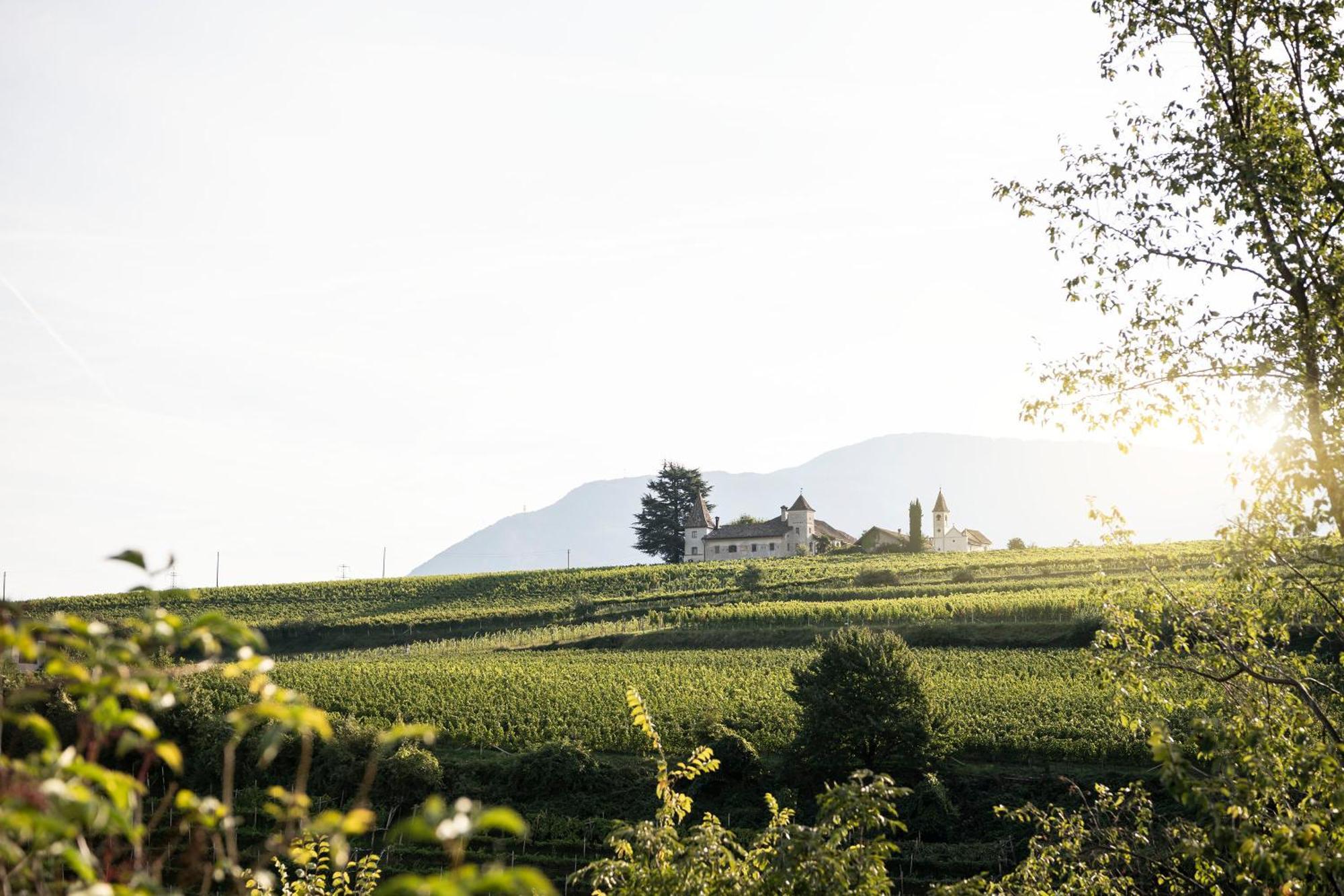Schmitte am Sonnenwirtsplatz: Eppan's Hiking and Cycling Haven Apartment Appiano Sulla Strada Del Vino Exterior photo